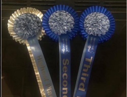 Oliver’s Rosettes for his Freestyle to music